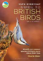 The RSPB Everyday Guide to British Birds: Identify our common species and learn more about their lives (PDF eBook)